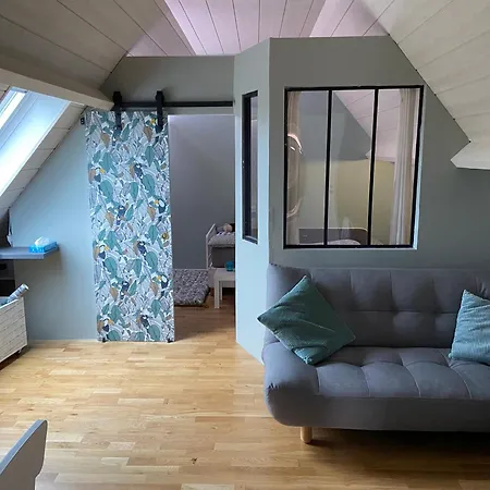 Apartment Superbe Duplex Familial Parking A Pied *